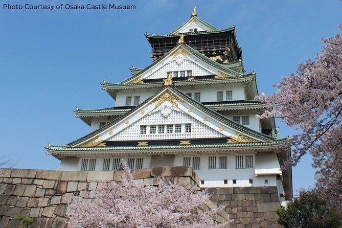 1 Day Takoyaki Making and Osaka Castle Walking Tour - A tight 8-hour day built around Namba