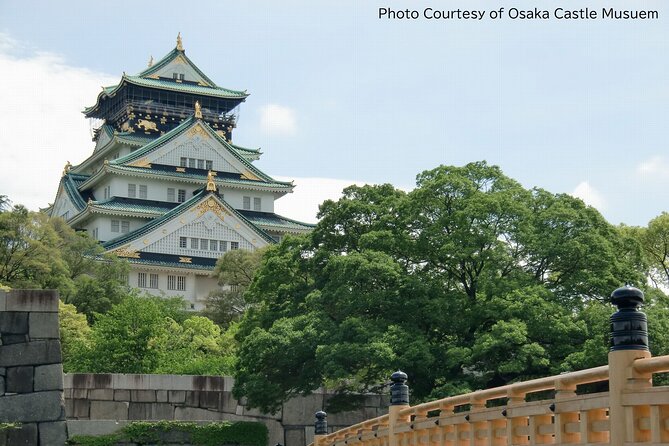 1 Day Takoyaki Making and Osaka Castle Walking Tour - Before you go: three practical things to get right