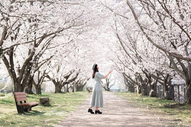 1 Hour Private Photoshoot in Osaka - Where to Shoot: Osaka Castle, Dotonbori Lights, and Other Strong Options