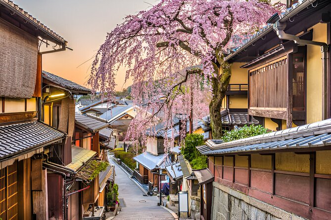 3 Days Private Osaka Kyoto and Nara Tour With English Driver - Pacing that actually works across three cities