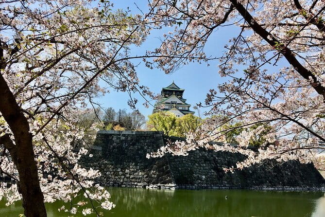 Allure of Osaka Walking Day Tour with a local guide - Tennoji and ABENO HARUKAS: modern Osaka and a skyline reality check