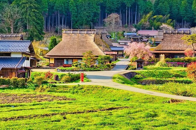 Amanohashidate Ine Funaya Miyama Village No Sato Tour from Osaka - Key highlights worth planning around