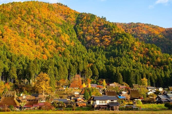 Amanohashidate Ine Funaya Miyama Village No Sato Tour from Osaka - Price and value for an Osaka-to-Kyoto scenic day