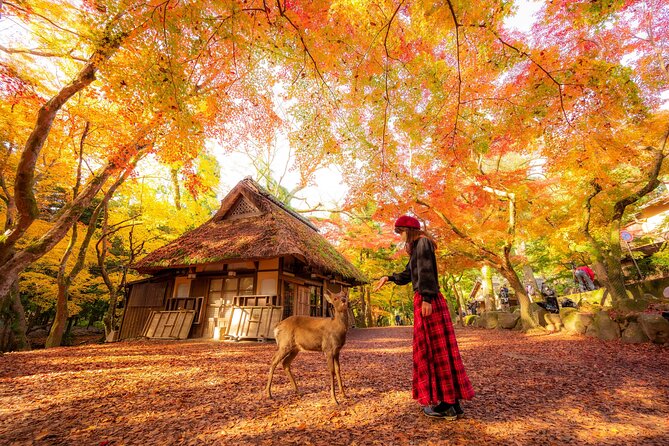 Best of Kyoto and Nara Highlights Day Tour from Osaka (7~9 spots) - Getting from Osaka to Kyoto and Nara: the 10-hour rhythm you should plan for