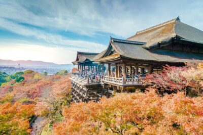 Best of Kyoto and Nara Highlights Day Tour from Osaka (7~9 spots) - Two route options: Fushimi Inari days vs Arashiyama days