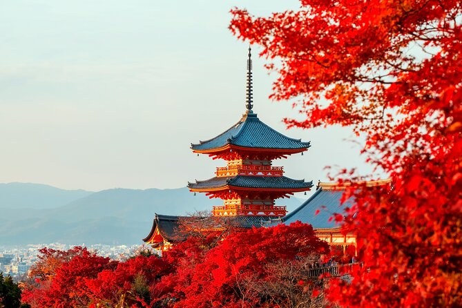 Best of Kyoto and Nara Highlights Day Tour from Osaka (7~9 spots) - Uji and Byodoin Phoenix Hall: a quieter, iconic Kyoto detour