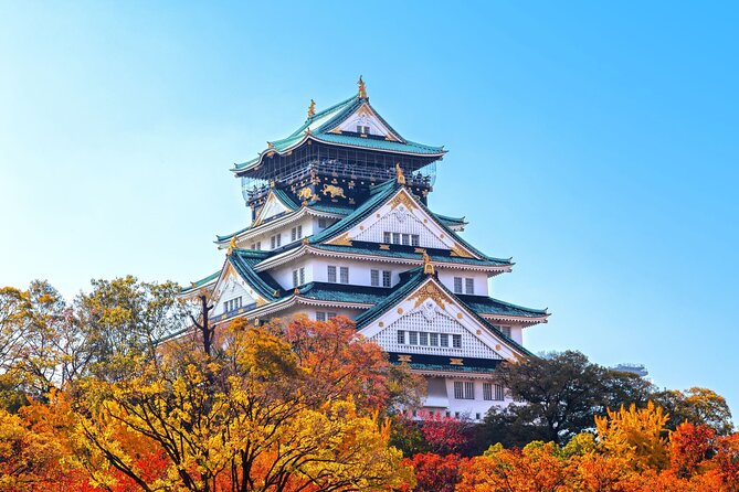 Best Private Osaka Walking Tour With A Guide 100% Personalised - Getting Your Bearings in Osaka (Without Playing Guessing Games)