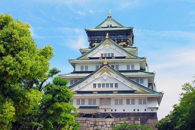 Best Private Osaka Walking Tour With A Guide 100% Personalised - Meet-Up at Your Place and a Neighborhood Primer