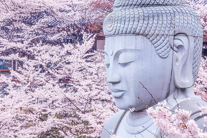 Cherry Blossom Buddha and Mt.Yoshino with Strawberry Picking Tour - Key highlights you should know
