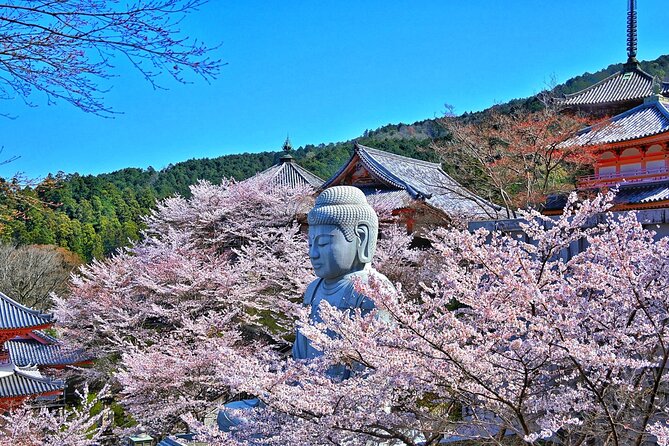 Cherry Blossom Buddha and Mt.Yoshino with Strawberry Picking Tour - Getting there from Osaka: the comfort is real, but timing is strict