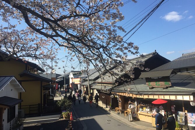 Cherry Blossom Buddha and Mt.Yoshino with Strawberry Picking Tour - Stop 3: Mt. Yoshino’s Senbonzakura viewpoints (the main reason this tour exists)