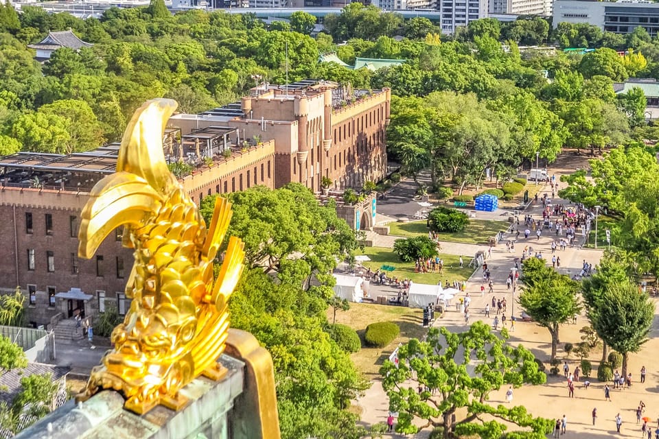 Discover Osaka, Private Customizable Tour with Expert Guides - Key things I’d look for before you book