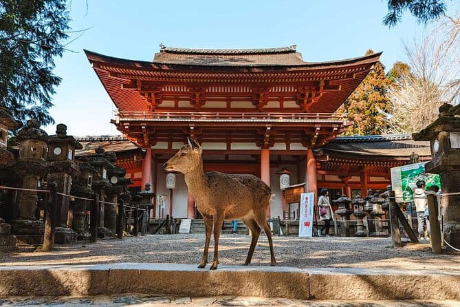 Exclusive Luxury Day Tours Serene Nara - Key things to know before you go