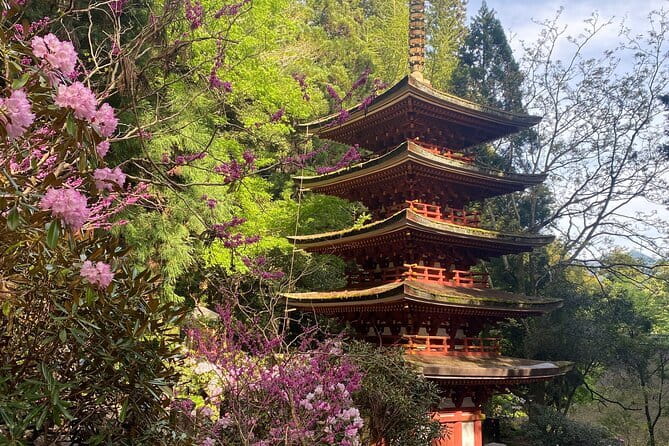 Exclusive Luxury Day Tours Serene Nara - How luxury logistics make Nara easier (and less tiring)