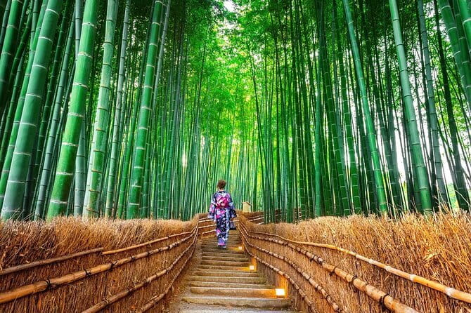 Exclusive Luxury Day Tours Serene Nara - Kasuga Taisha: shrine calm under torii gates