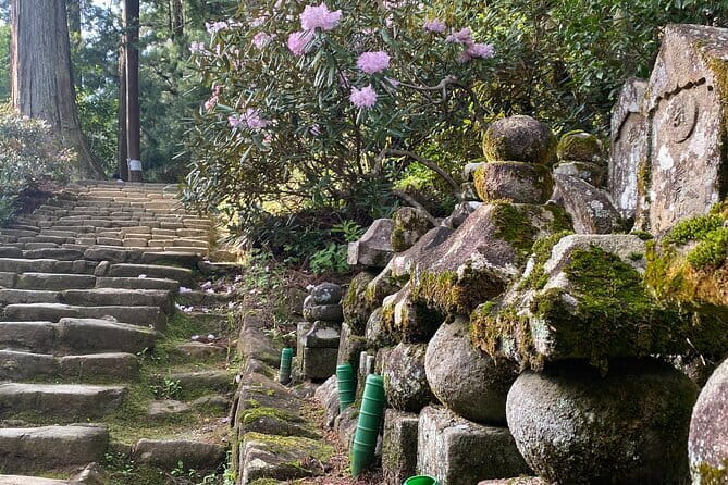 Exclusive Luxury Day Tours Serene Nara - Who this Nara luxury day fits best