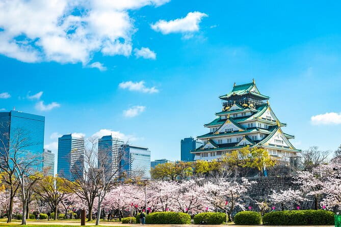 Explore Osaka | Private Tour - Local English Driver(guide option) - Key Highlights You’ll Actually Feel During the Day