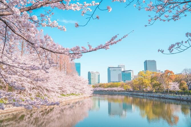 Explore Osaka | Private Tour - Local English Driver(guide option) - Meeting the Day: Pickup, WhatsApp, and the Clean-Van Advantage
