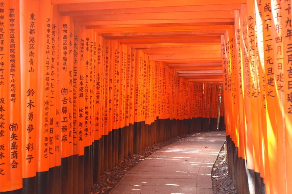 From Kyoto or Osaka: Kyoto Highlights & Nara Park Day Trip - Should You Book This Kyoto and Nara Highlights Day Trip?