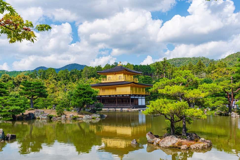 From Kyoto or Osaka: Kyoto Highlights & Nara Park Day Trip - Who This Tour Suits Best (and Who Should Choose Something Else)