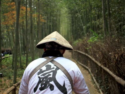 From Kyoto/Osaka: Kyoto Top Highlights 1-Day Guided Bus Tour - Fushimi Inari Taisha torii gates: what to do with your 80 minutes