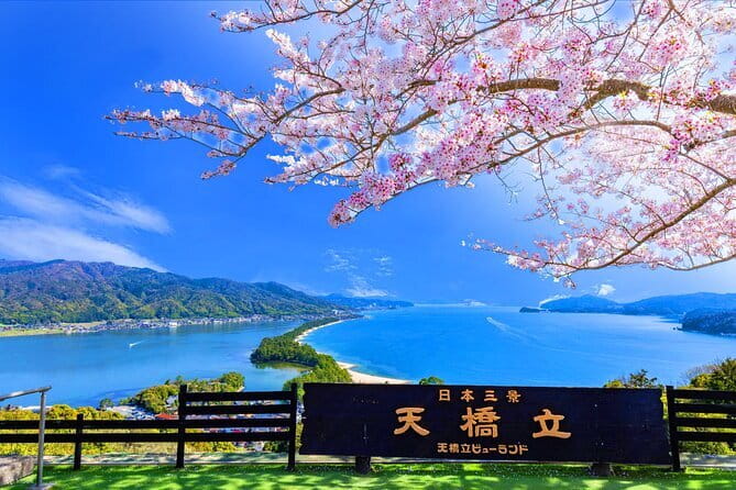 From Osaka or Kyoto: Full Day Sightseeing Tour of Kyoto - Arashiyama at Full Speed: Bamboo Forest, Nonomiya Shrine, and Togetsukyo Bridge