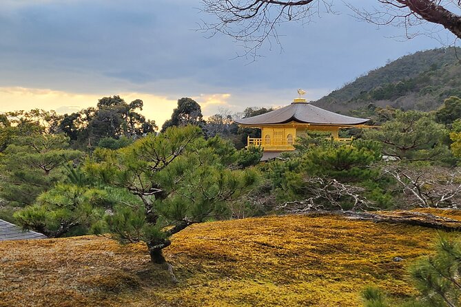 Full Day Guided Tour to Kyoto Arashiyama from Osaka by Van - Bamboo Forest walk: 30 minutes of calm and good photo timing