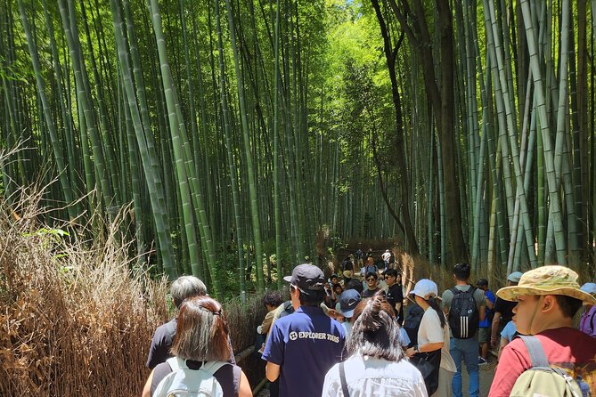 Full Day Guided Tour to Kyoto Arashiyama from Osaka by Van - Arashiyama town: free time for lunch, souvenirs, and a breather