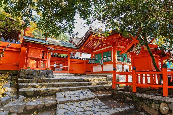 Full Day Guided Tour to Nara from Osaka by Van - Price and logistics: what you’re really paying for