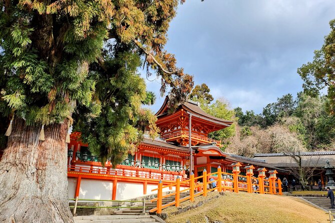 Full Day Guided Tour to Nara from Osaka by Van - From Osaka to Nara Park: a smooth start at 9:45
