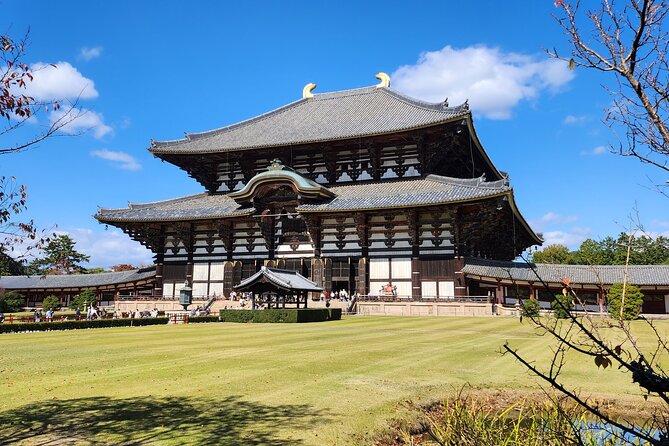 Full Day Guided Tour to Nara from Osaka by Van - Inside Todai-ji: the Great Buddha Hall and UNESCO scale