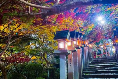 Hidden Gems of Osaka Kyoto Nara - Private Car Tour by Local Guide - Katsuo-ji Temple and its thousand Daruma doll setting