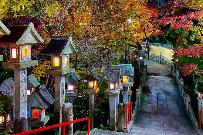 Hidden Gems of Osaka Kyoto Nara - Private Car Tour by Local Guide - Why Daiki’s guide style makes the day better