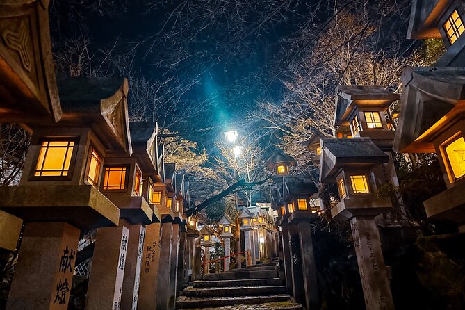 Hidden Gems of Osaka Kyoto Nara - Private Car Tour by Local Guide - Price and value: what $248.22 really buys you