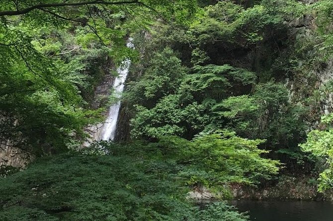 Kobe private tour from Osaka (Shore excursion available from Osaka or Kobe port) - Why this private setup feels better than a rushed group day