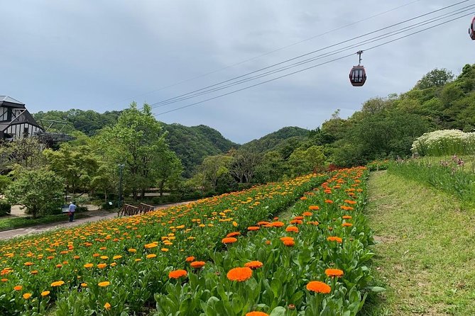 Kobe private tour from Osaka (Shore excursion available from Osaka or Kobe port) - Price and what you’re really paying for