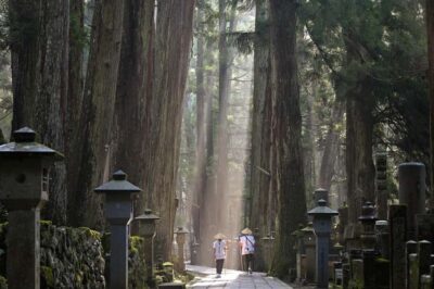Koyasan: A Mysterious Meditation Journey - Kongobu-ji: where Shingon Buddhism feels official