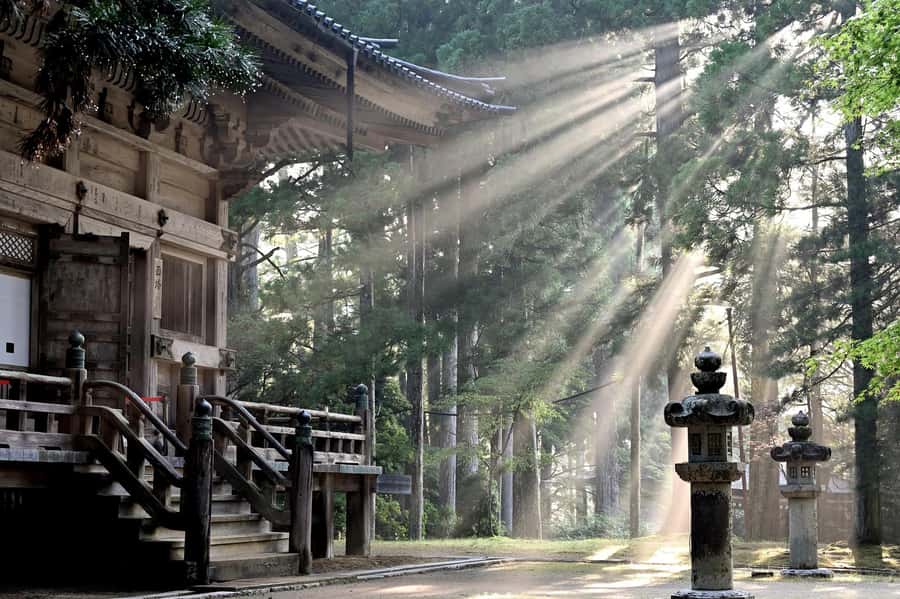Koyasan: A Mysterious Meditation Journey - Danjo Garan Sacred Temple + Koyasan Reihokan Museum