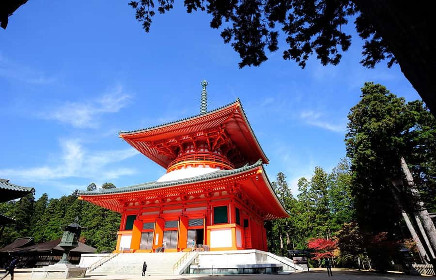 Koyasan: A Mysterious Meditation Journey - Optional monk-led meditation training: a different kind of souvenir