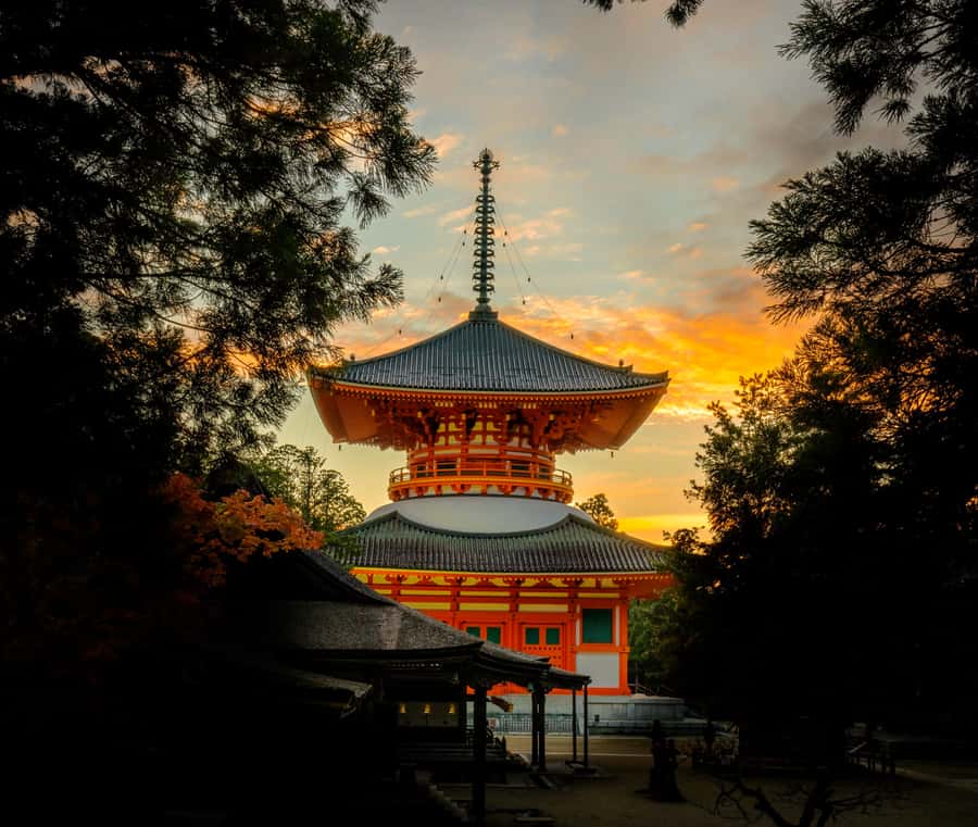 Koyasan: A Mysterious Meditation Journey - Price and value: what $539 per group gets you