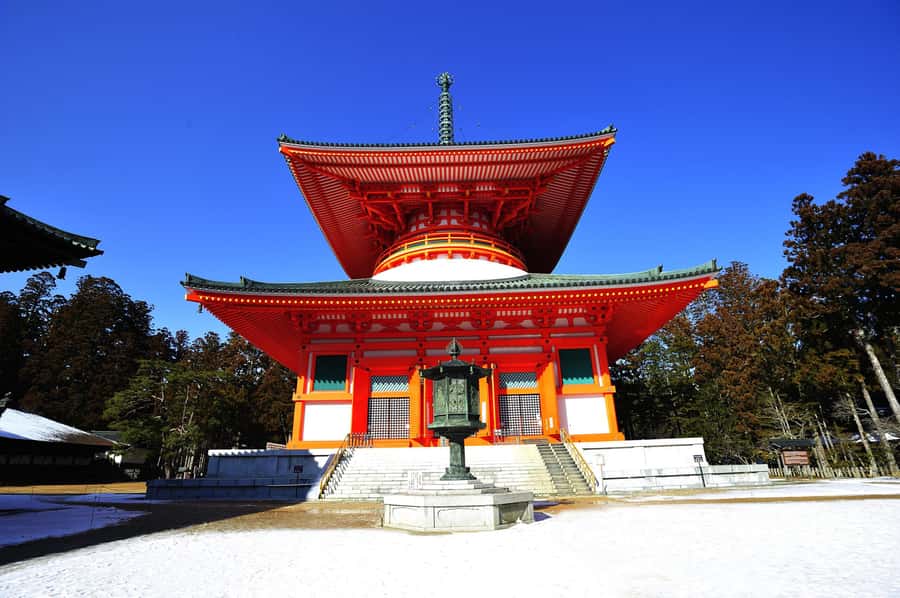 Koyasan: A Mysterious Meditation Journey - Service quality: what stands out from real experiences