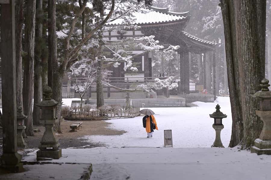 Koyasan: A Mysterious Meditation Journey - Who this Koyasan trip suits best