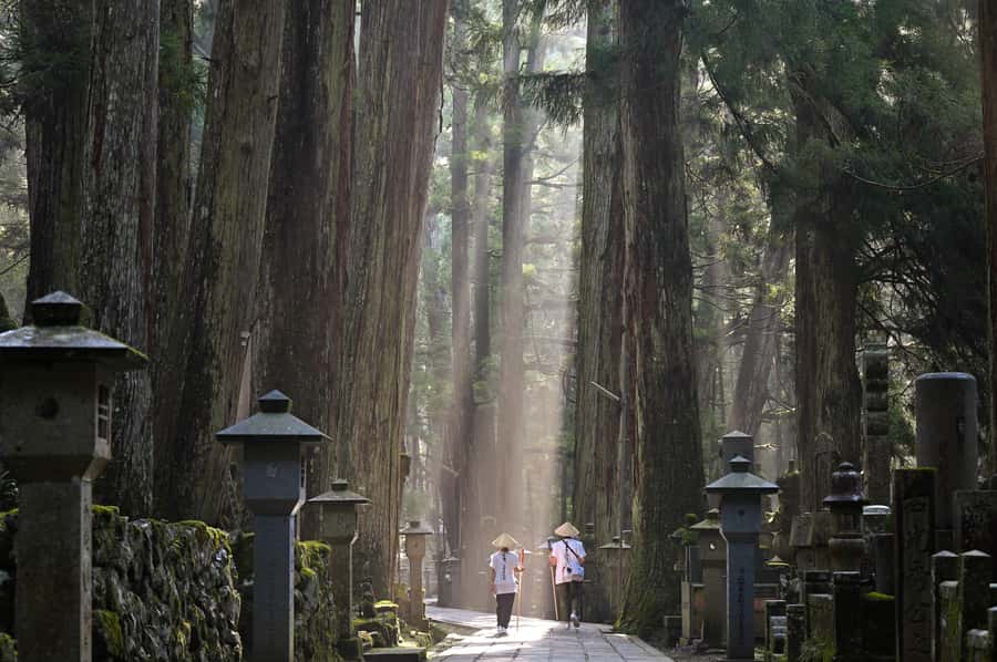 Koyasan: A Mysterious Meditation Journey - Kongobu-ji: where Shingon Buddhism feels official