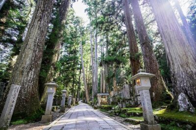 Koyasan Day Trip by Private Car from Osaka - Katsuragi-cho shrine and its sacred waterfall pause