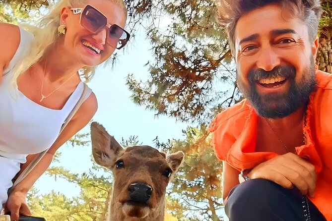 Kyoto and Nara Day Tour From Osaka with Deer Sightings - Key points at a glance