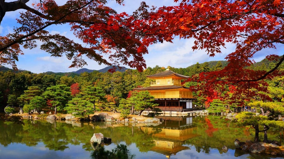 Kyoto and Nara Day Tour From Osaka with Deer Sightings - Should you book this Osaka-to-Kyoto-Nara day tour with deer sightings?