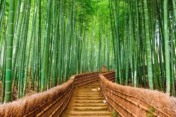 Kyoto Customized Private Car Tour - Key highlights to know before you go