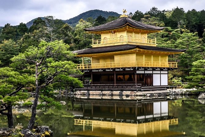 Kyoto Day Trip from Osaka Port – Private Shore Excursion - Key things to know before your Kyoto day
