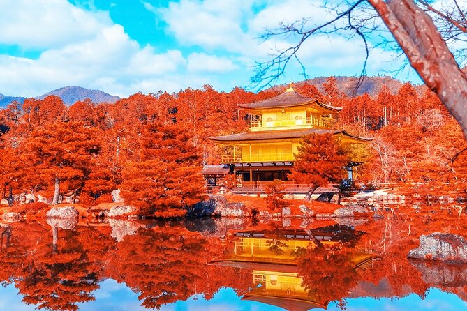 Kyoto Full day Tour Kinkakuji, Kiyomizu-dera and Fushimi Inari - A 9.5-hour Kyoto run: Kinkaku-ji to Fushimi Inari