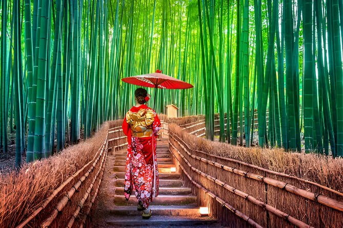 Kyoto Highlights Private Tour with Pick and Drop - How the Osaka-to-Kyoto Private Day Actually Feels